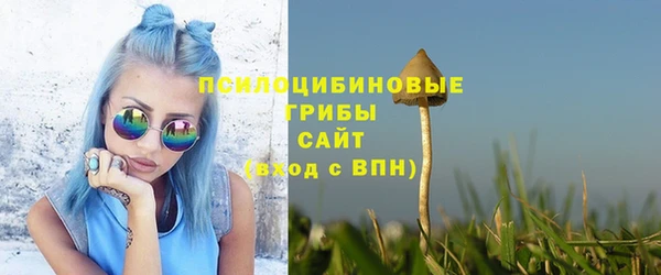 дурь Богданович