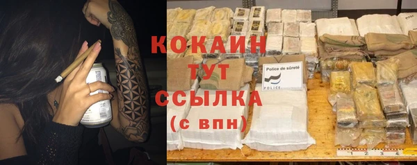 дурь Богданович