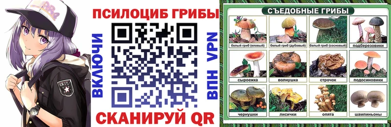 Галлюциногенные грибы GOLDEN TEACHER  Краснообск 